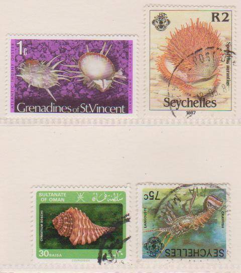 Thematic:-   Sea-Life  (as per scan )