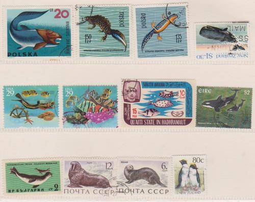 Thematix:  Mix lot of Sea Life (as per scan)