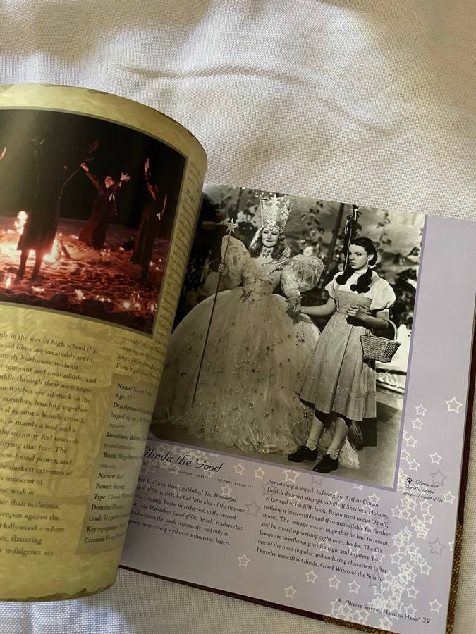 The Book of Witches - a Spellbinding Guide - Tim Dedopulos