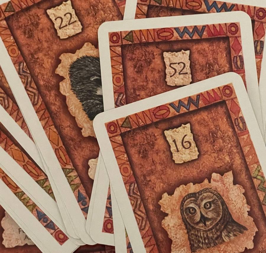 Shaman Wisdom Cards - Leita Richesson