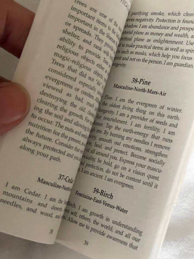 Shaman Wisdom Cards - Leita Richesson