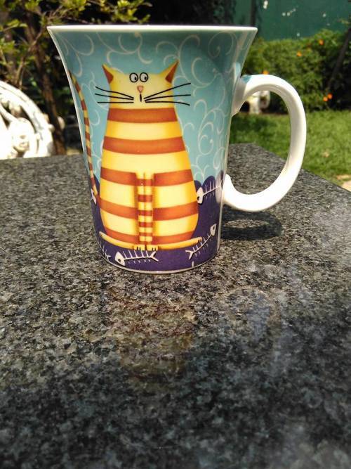 PRETTY MUG FOR A CAT LOVER