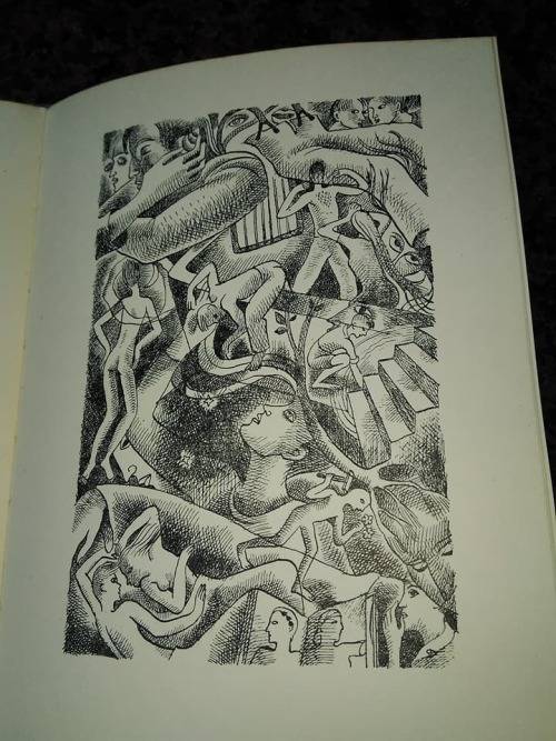 NIENABER, C.J. - Keerweer - [Illustrasies deur Sheila Cussons] - (Sagteband)