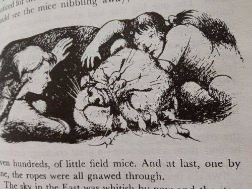 LEWIS, C.S. - The Lion, the Witch and the Wardrobe - [Chronicles of Narnia # 2] - (Hardcover)