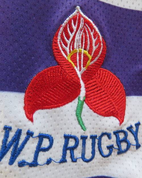 ADIDAS blue and white horizontal striped  WP rugby top size Large. Polyester. Fair condition.