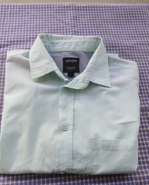 Best quality DAVID JONES pure cotton mint green/white striped short sleeve shirt in LARGE. New cond.
