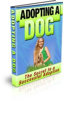 adopting a dog