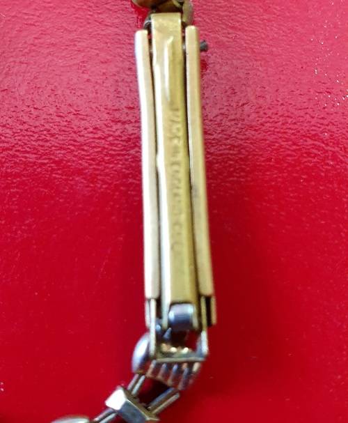 VINTAGE DELFIN 17 JEWELS WATCH