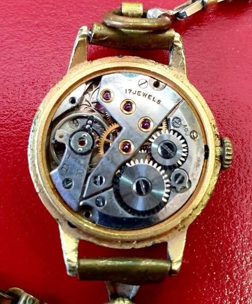 VINTAGE DELFIN 17 JEWELS WATCH