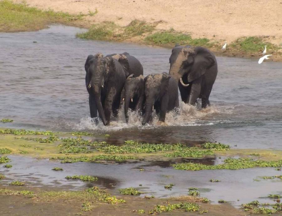 Various Weekends @ Ngwenya Lodge 6 Sleeper ( 4 adults 2 kids under 12 yr )