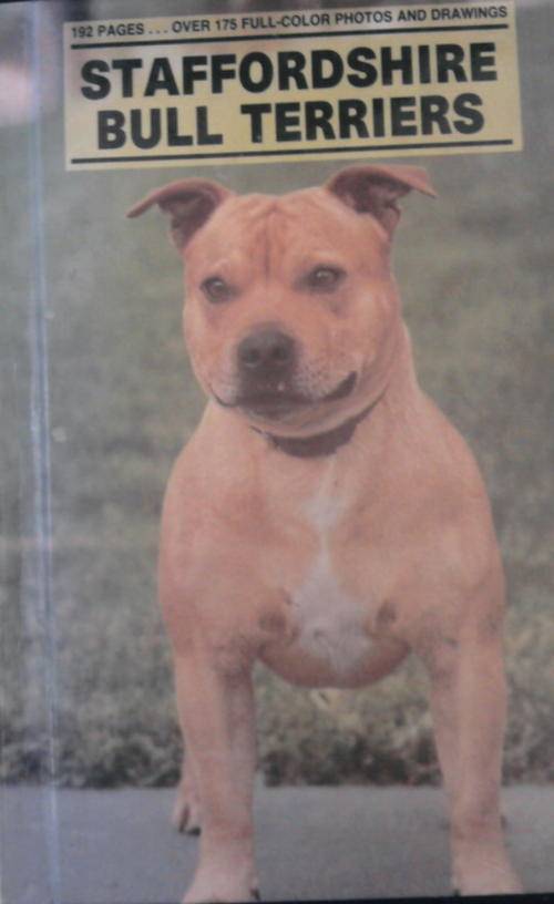 STAFFORDSHIRE BULL TERRIERS BY ANNA KATHERINE NICHOLAS HARDCOVER