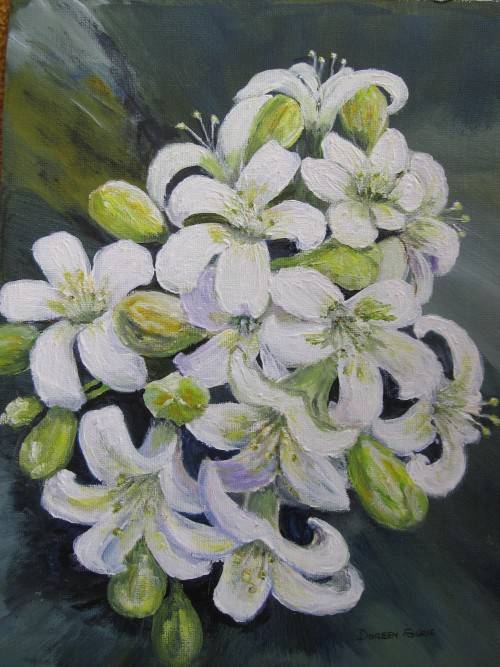 Original A4 acrylic painting on canvas by Doreen Fourie