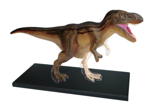 Animal Anatomy: T-Rex