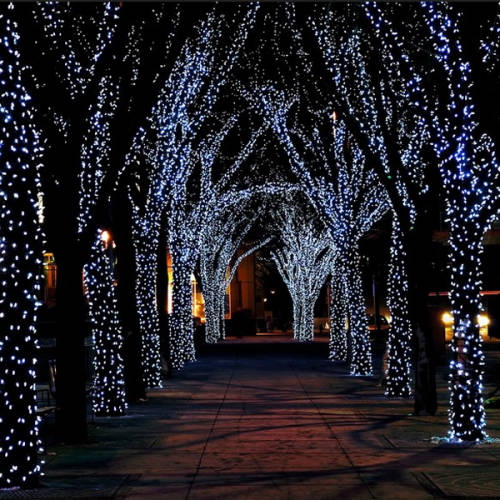 Solar Fairy Lights - White