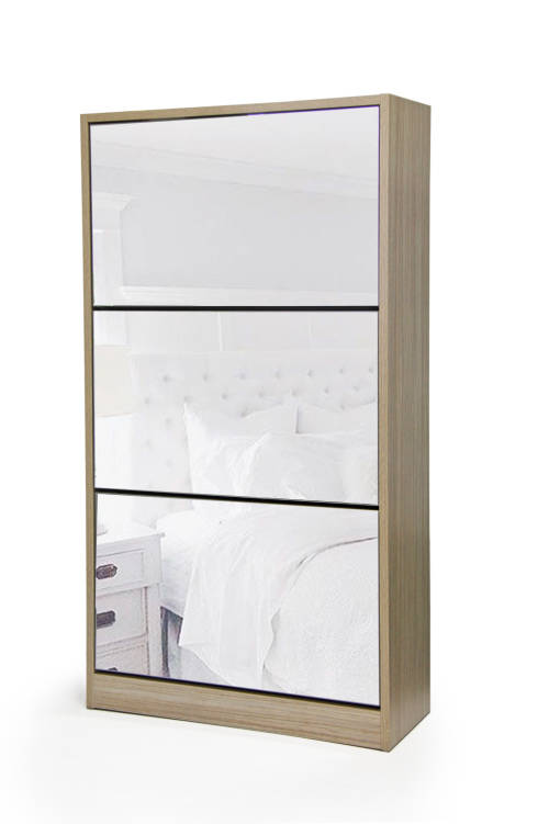 Mirror Shoe Cabinet