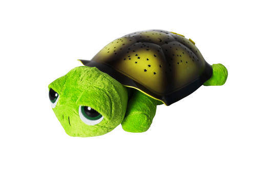 Big Eyes Turtle - Green