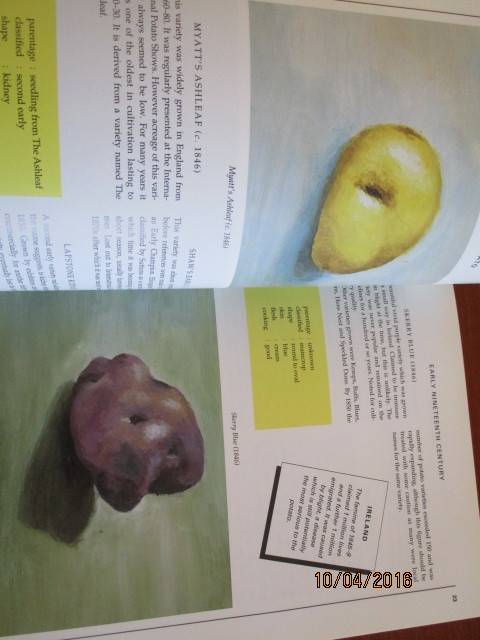 The Story of the POTATO through illustrated varieties