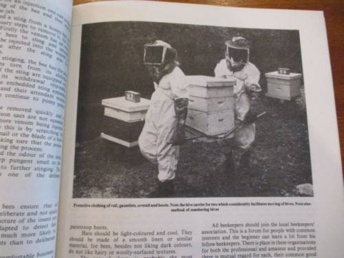 BEEKEEPING IN SOUTH AFRICA