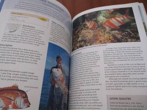 TOP ANGLING FISHES OF SOUTHERN AFRICA