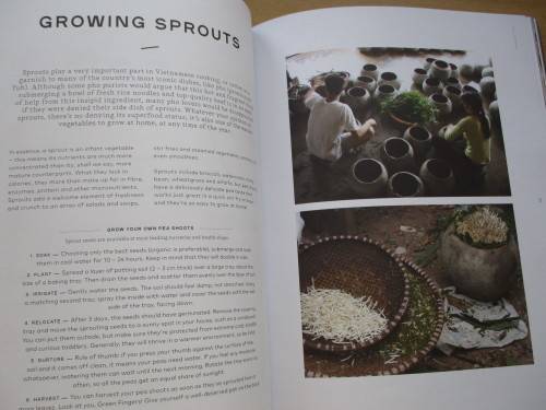 JAN. The Journal.  Volume 3 - 2019