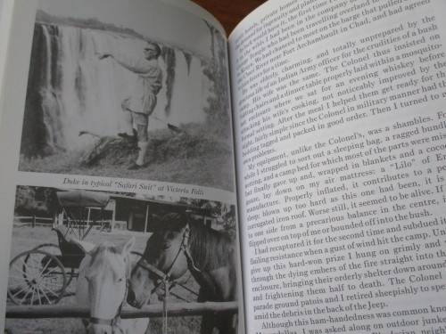 Rhodesia. BABOONS ON THE VERANDAH - C.W. "Duke" Acheson