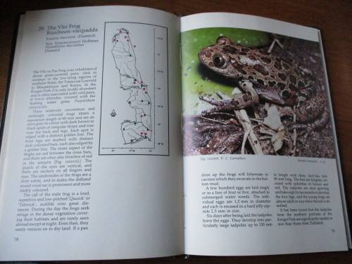 THE FROGS OF THE KRUGER NATIONAL PARK Pienaar, Passmore and Carruthers