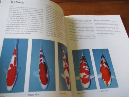 KOI. A handbook on keeping Nishikigoi. Sevaas de Kock  and Ronne Watt
