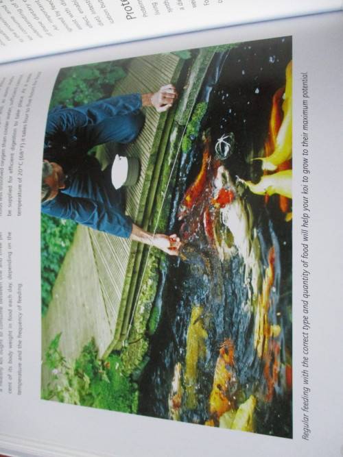KOI. A handbook on keeping Nishikigoi. Sevaas de Kock  and Ronne Watt