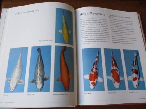 KOI. A handbook on keeping Nishikigoi. Sevaas de Kock  and Ronne Watt