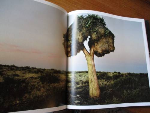 KAROO MOONS A Photographic Journey  Richard Dobson and Ruben Mowszowski