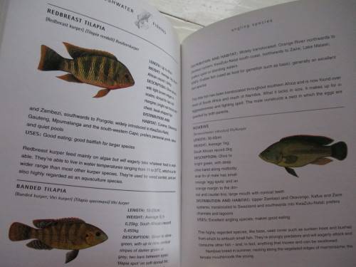 Southbound's Freshwater Fishing in South Africa
