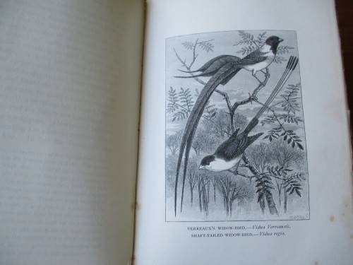 MATABELE LAND AND THE VICTORIA FALLS  Frank Oates edited by C.G. Oates
