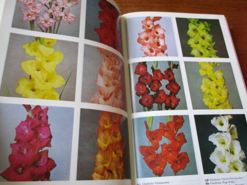 The Colour Dictionary of GARDEN PLANTS Roy Hay and Patrick M. Synge The Royal Horticultural Society