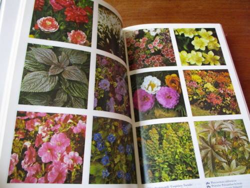 The Colour Dictionary of GARDEN PLANTS Roy Hay and Patrick M. Synge The Royal Horticultural Society