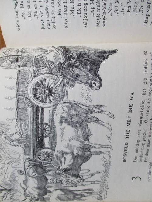 PJ Schoeman - Kampvure wat nie uitbrand nie