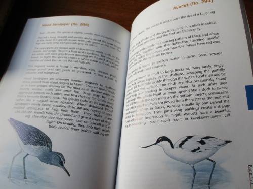 SIGNED. BIRDING with SAPPI and GEOFF LOCKWOOD