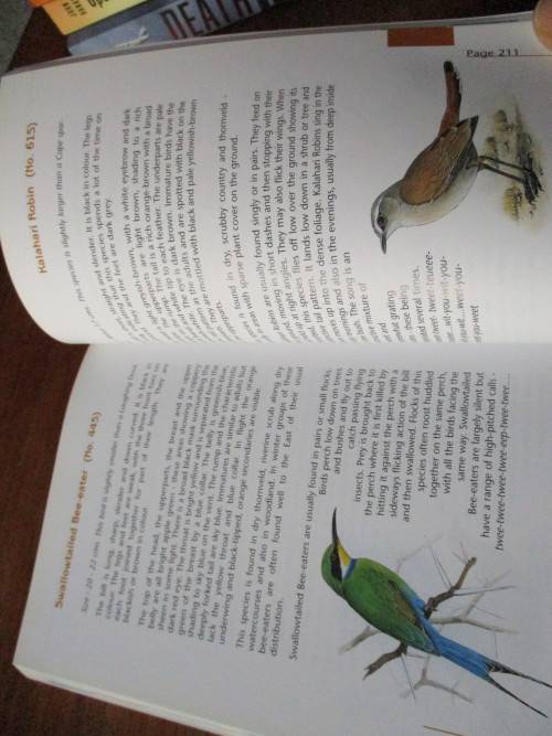 SIGNED. BIRDING with SAPPI and GEOFF LOCKWOOD