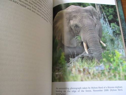 THE SECRET ELEPHANTS  Gareth Patterson