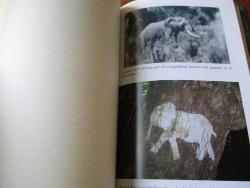 THE SECRET ELEPHANTS  Gareth Patterson