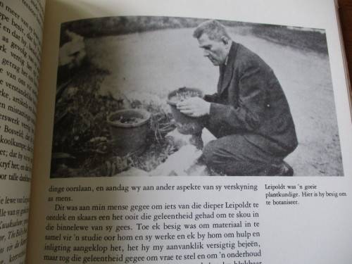 LEIPOLDT in beeld en woord