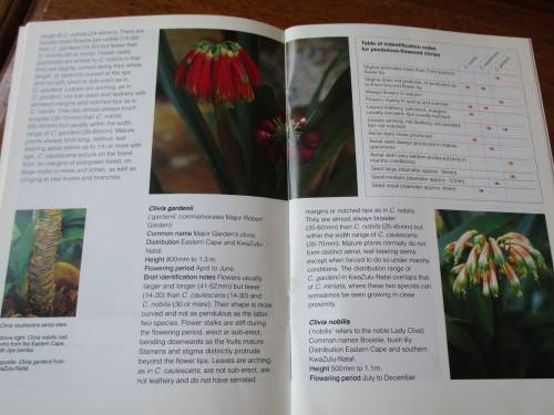 GROW CLIVIAS - Kirstenbosch Gardening Series