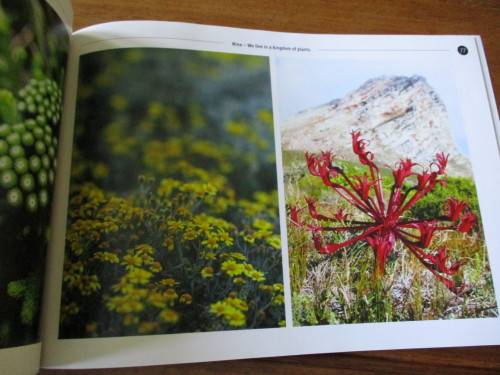 ROOIELS  A village between the mountains and the sea  Tussen berge en see
