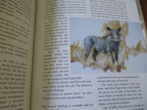 The Trouble With Africa  STORIES FROM A SAFARI CAMP  Vic Guhrs