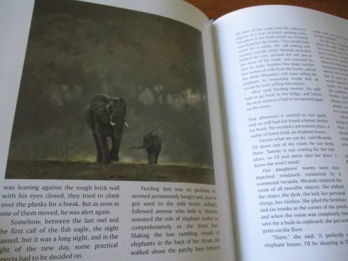 The Trouble With Africa  STORIES FROM A SAFARI CAMP  Vic Guhrs