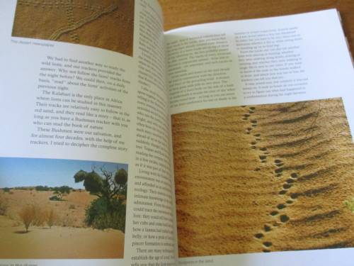 SIGNED. HUNTERS OF THE DUNES  The story of the Kalahari lion  FRITZ ELOFF