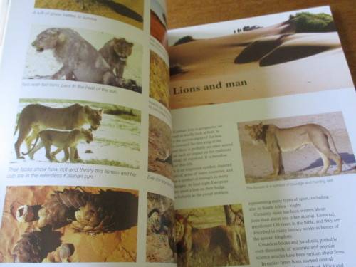 SIGNED. HUNTERS OF THE DUNES  The story of the Kalahari lion  FRITZ ELOFF