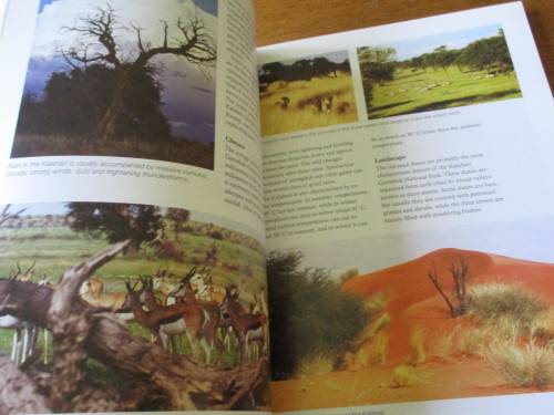 SIGNED. HUNTERS OF THE DUNES  The story of the Kalahari lion  FRITZ ELOFF