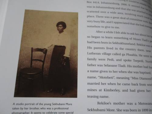 THE QUEST FOR MOSES TLADI  The Artist in the Garden  ANGELA READ LLOYD