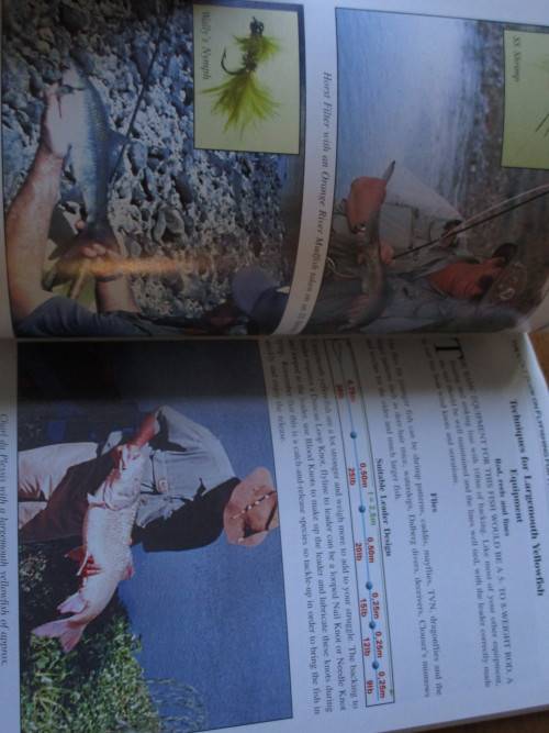 THE COLT BOOK ON FLYFISHING FOR WARM WATER SPECIES IN SOUTHERN AFRICA  BROOK AND FILTER