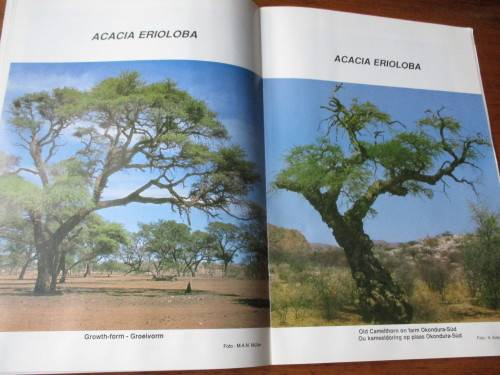 ACACIAS  Tree of the year 1989 Die boom van die jaar
